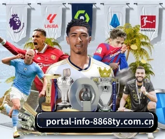 portal-info-8868ty.com.cn APP
